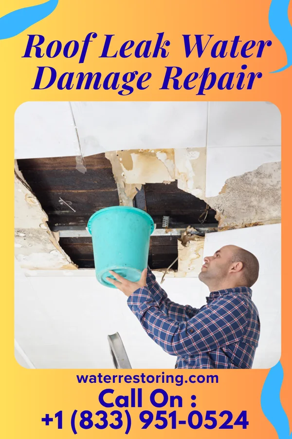 Roof Leak Water Damage Repair in Center Hill, FL